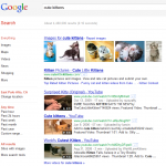 Figure 5.6 Google Multimedia Search Results